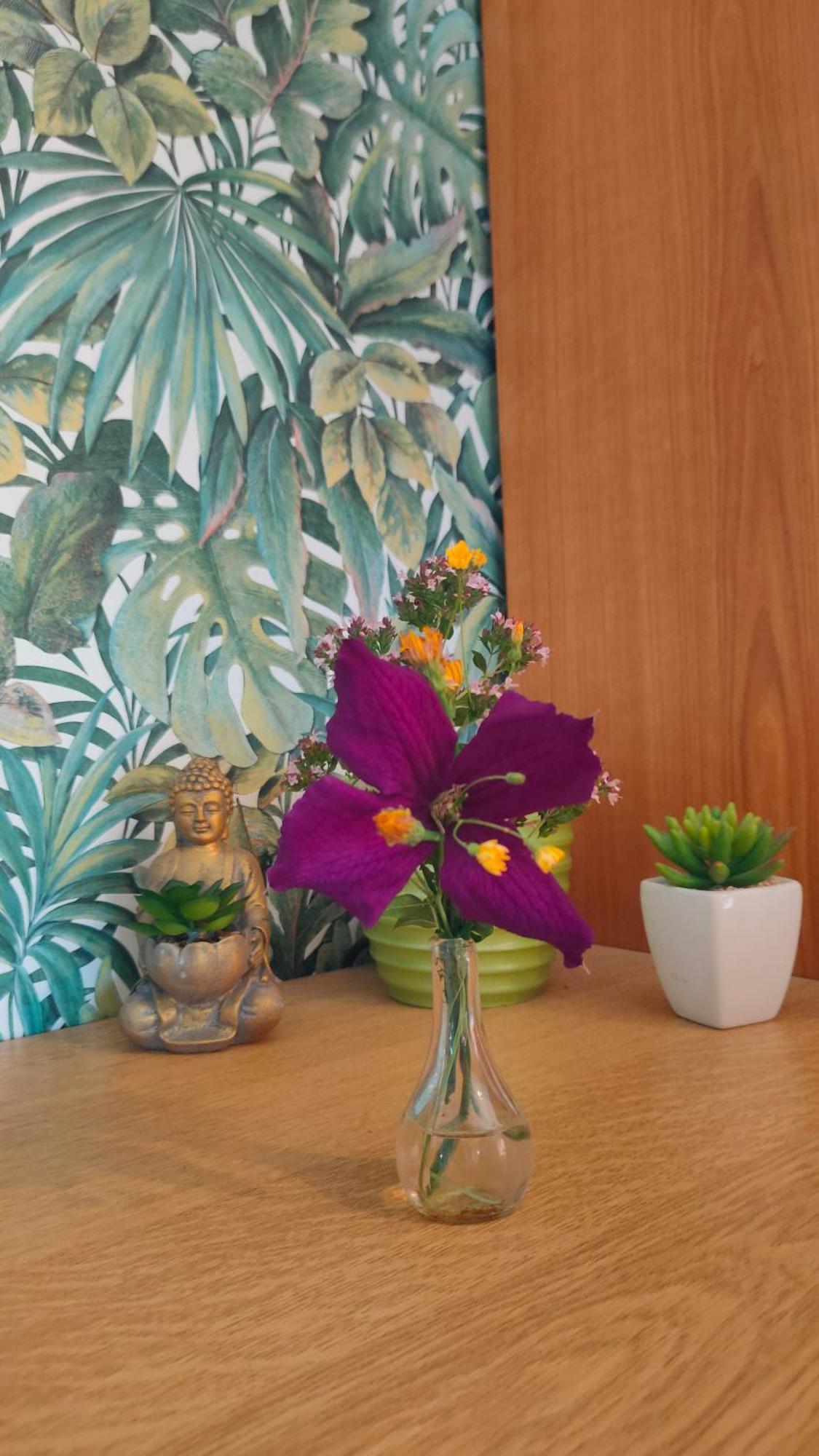 Jan'S Homestay! #Kassel-Lohfelden Zimmer foto